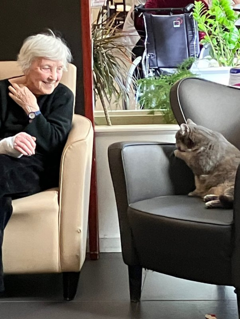 actualité EHPAD SEDNA