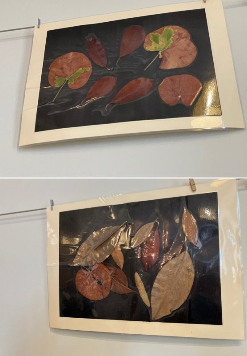 ARTS PLASTIQUES ... AUTOMNE