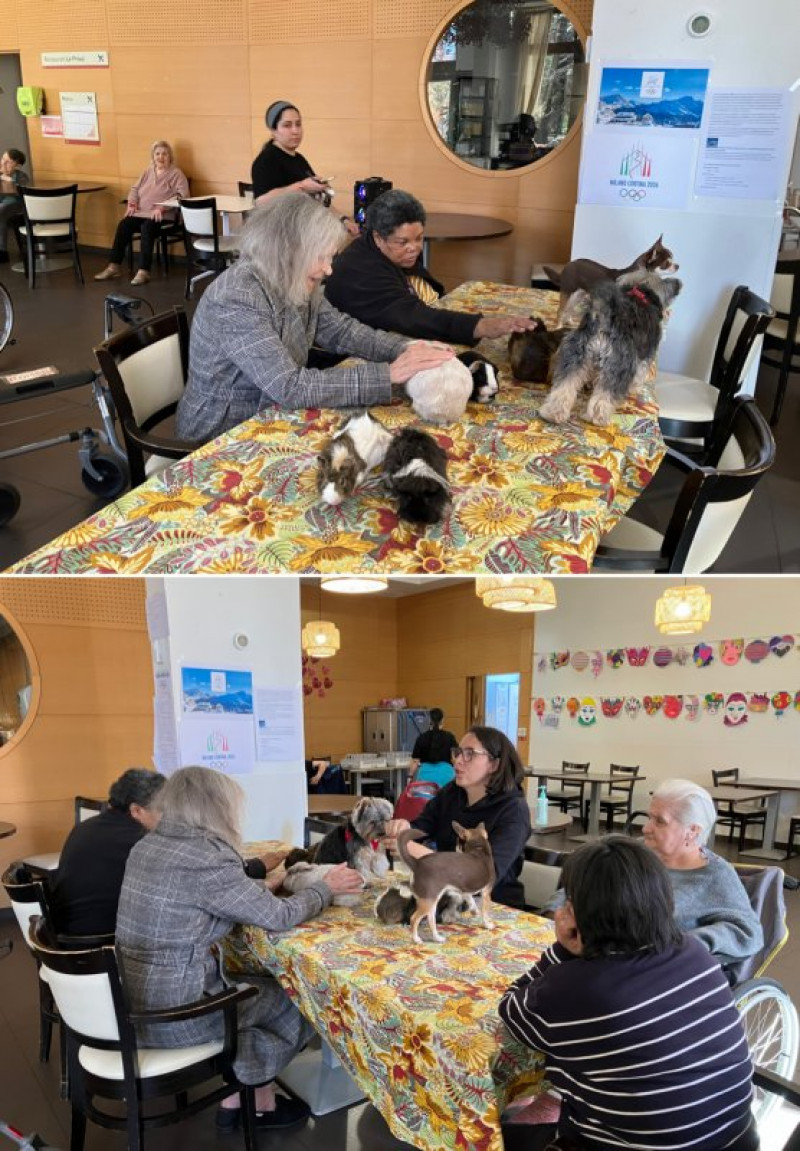résidence médicalisée SEDNA France