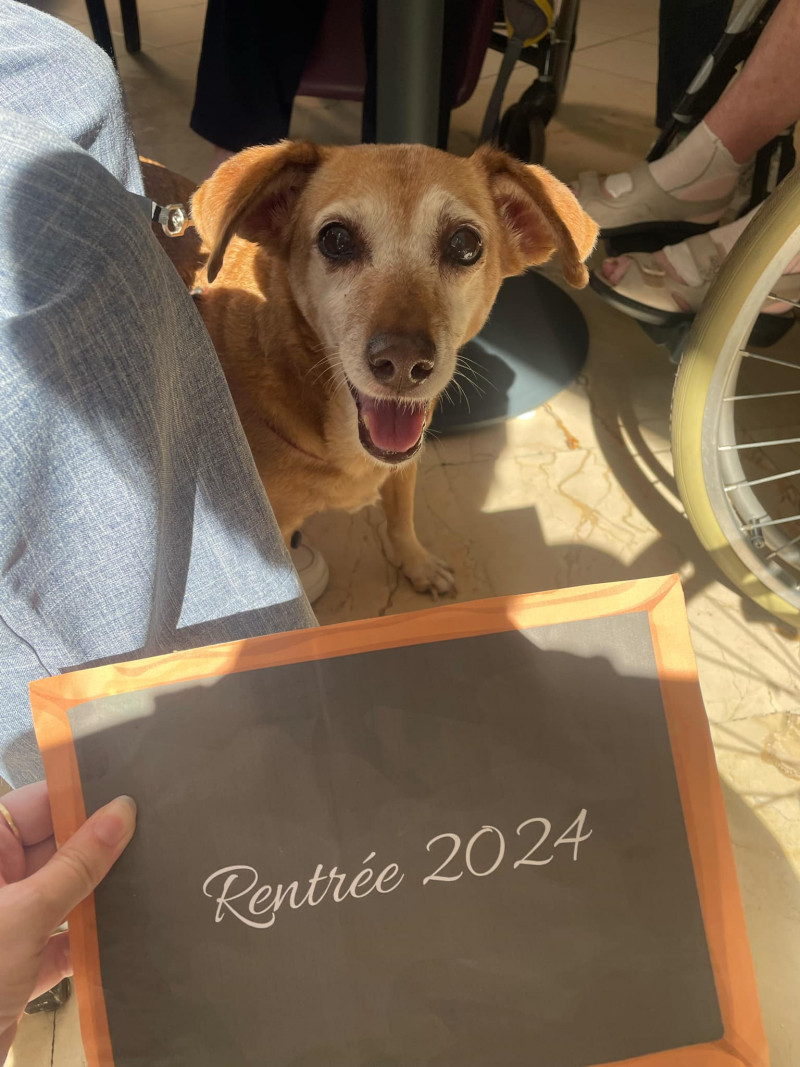 Une rentrée scolaire qui a du chien ( et du chat !) 2024