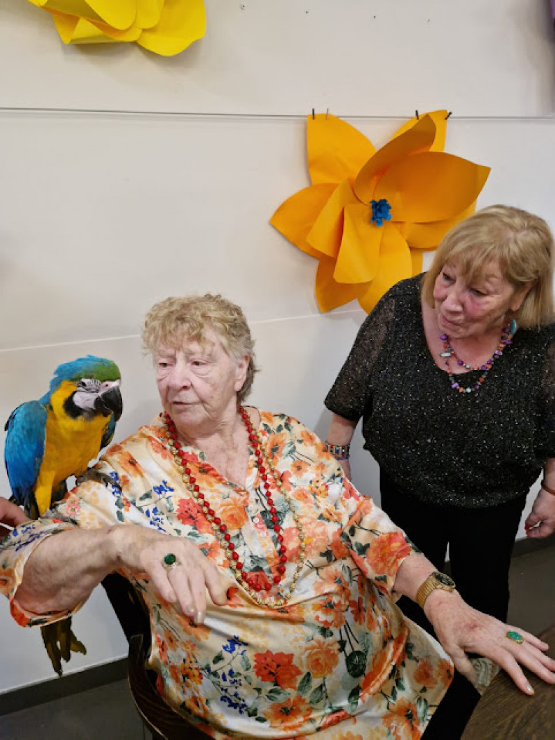 OUVREZ LA CAGE AUX OISEAUX