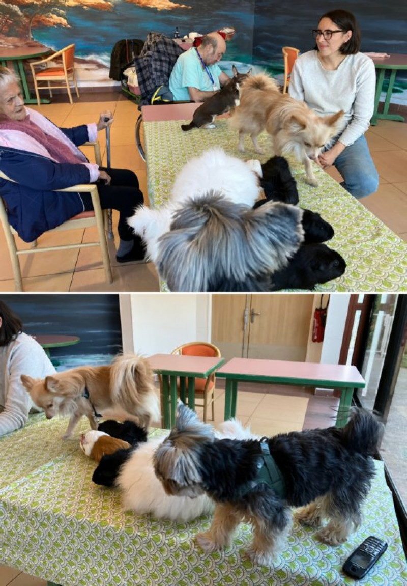 actualité EHPAD SEDNA