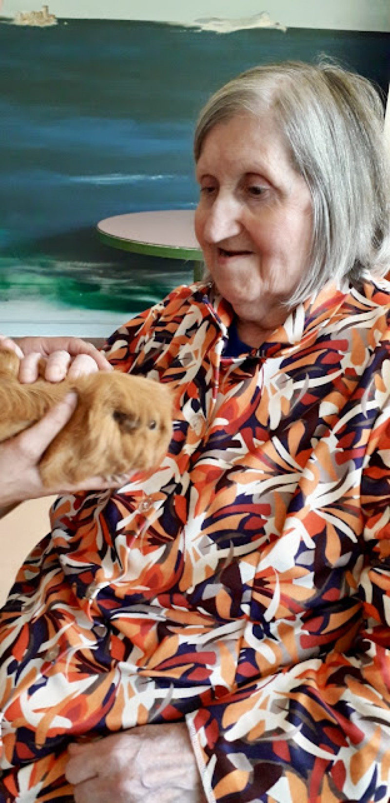 actualité EHPAD SEDNA