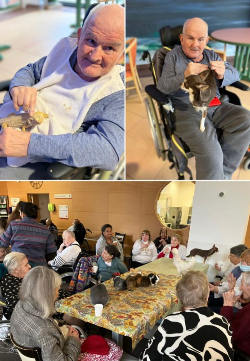 RATATOUILLE et ses amis