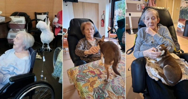 actualité EHPAD SEDNA