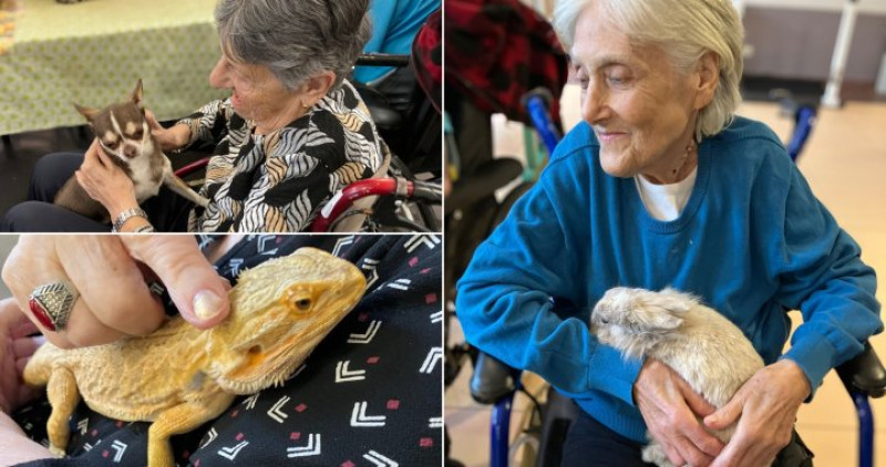 LA MEDIATION ANIMALE DU SAMEDI