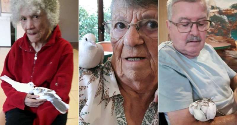 MEDIATION ANIMALE DU LUNDI