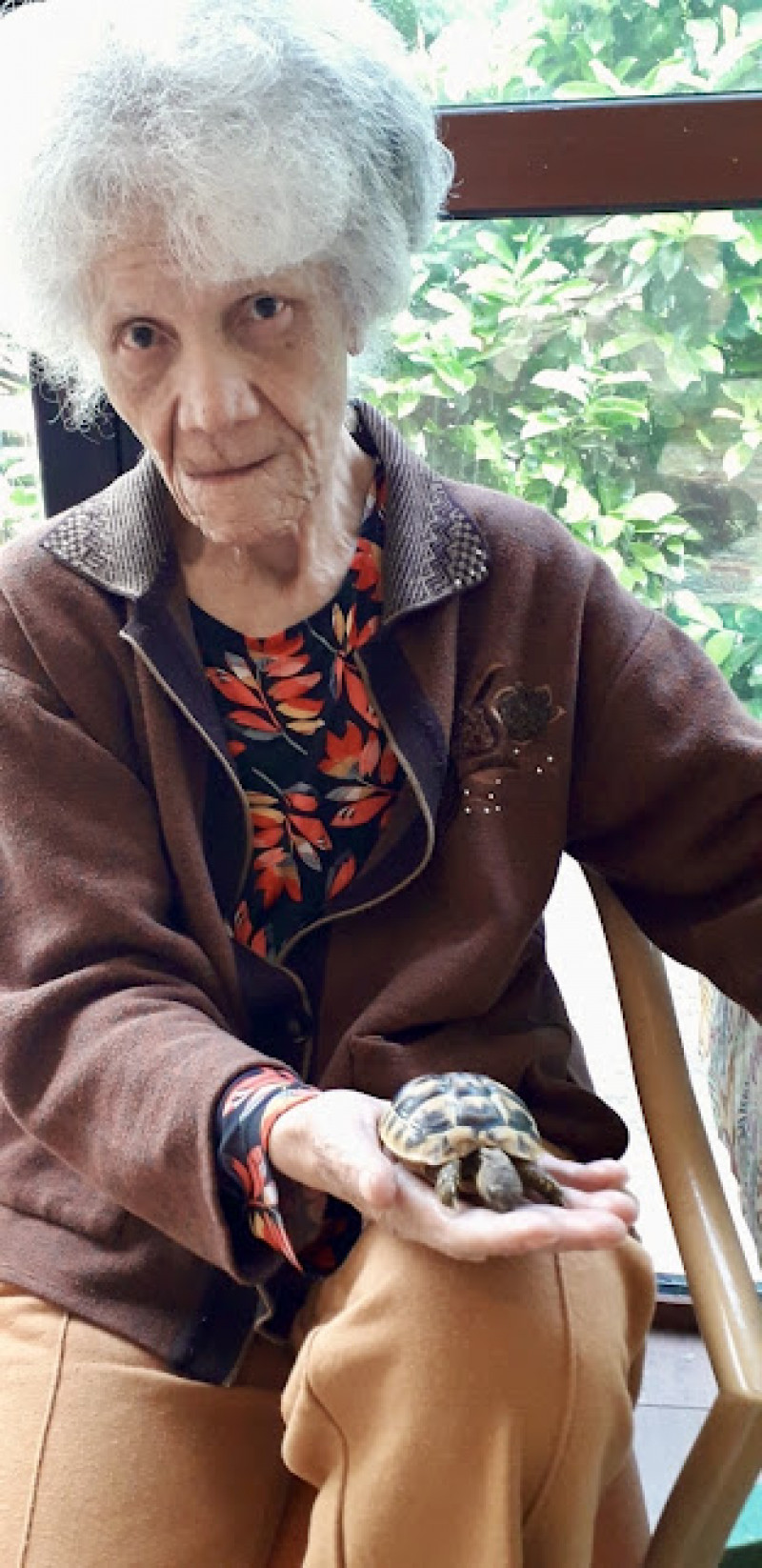 actualité EHPAD SEDNA