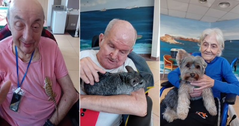 résidence médicalisée SEDNA France