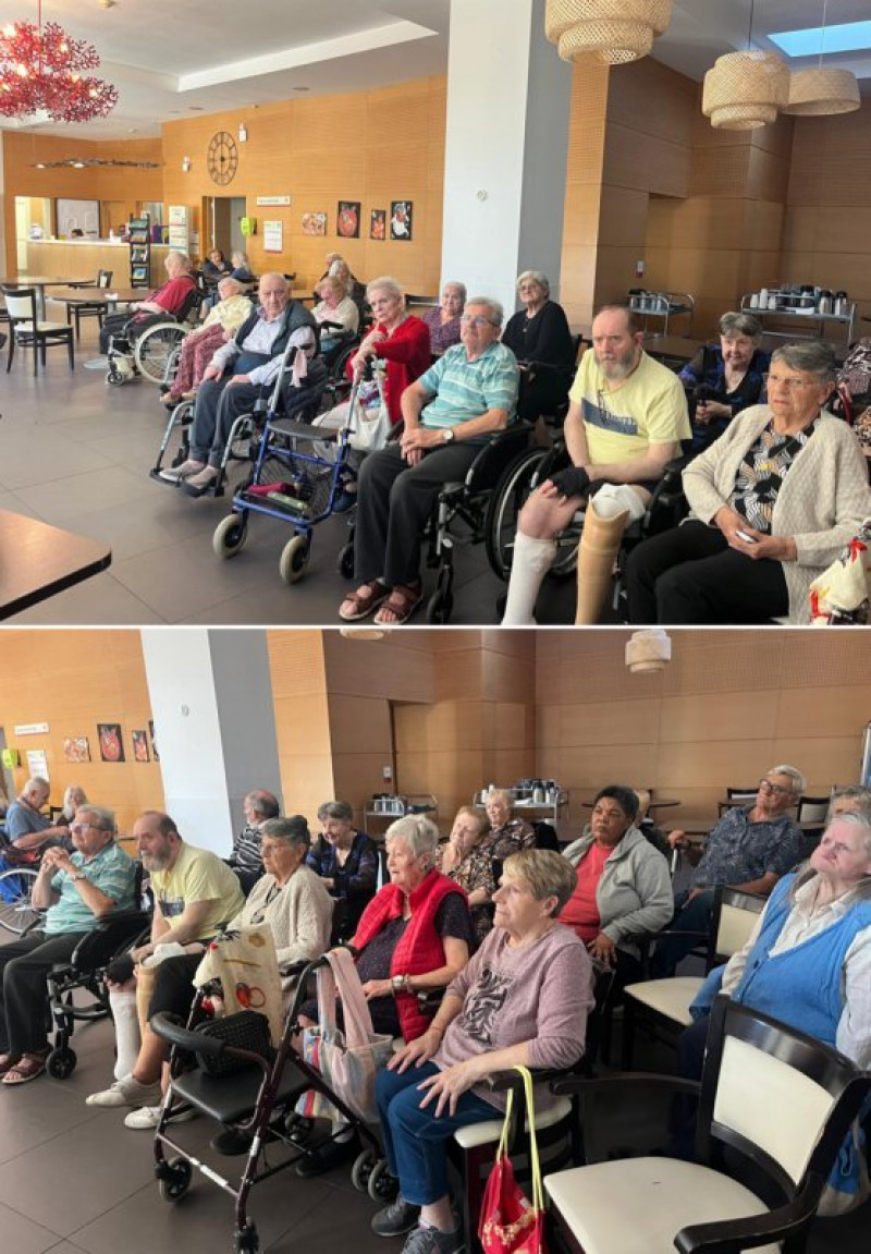 CONFERENCE SUR LES PETITS FELINS