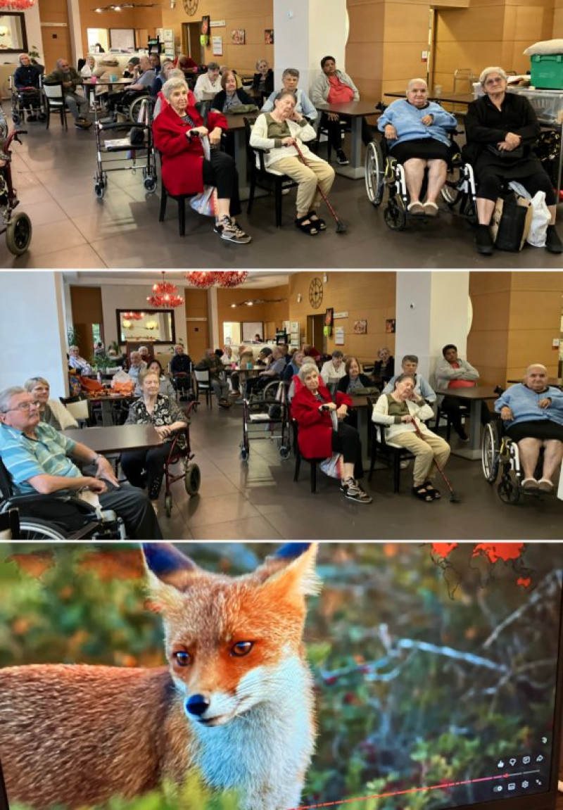 actualité EHPAD SEDNA