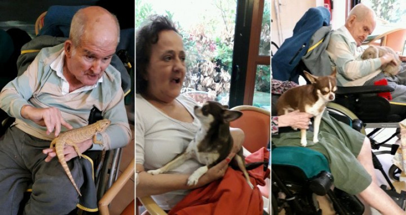 MEDIATION ANIMALE A MALMOUSQUE