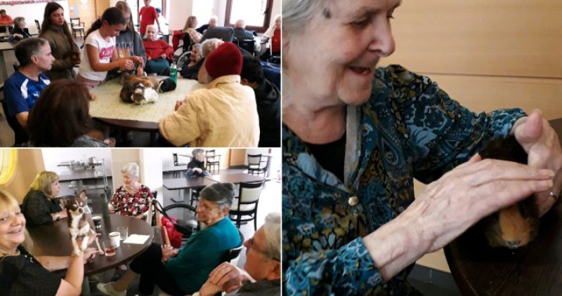 ehpad marseille 10e arrondissement saint-loup