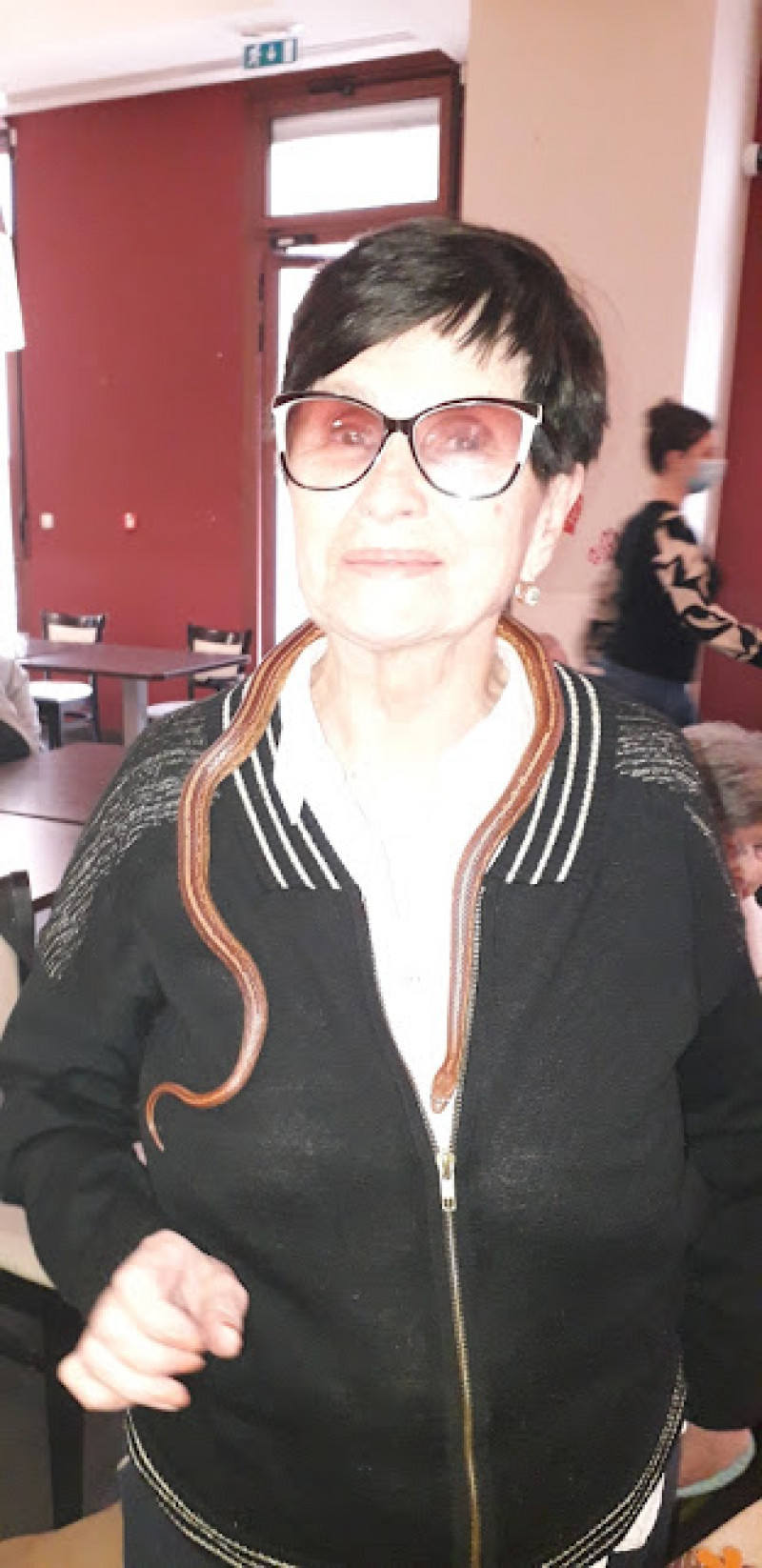 actualité EHPAD SEDNA