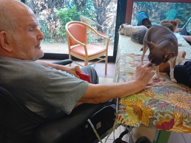 NOS AMIS LES ANIMAUX