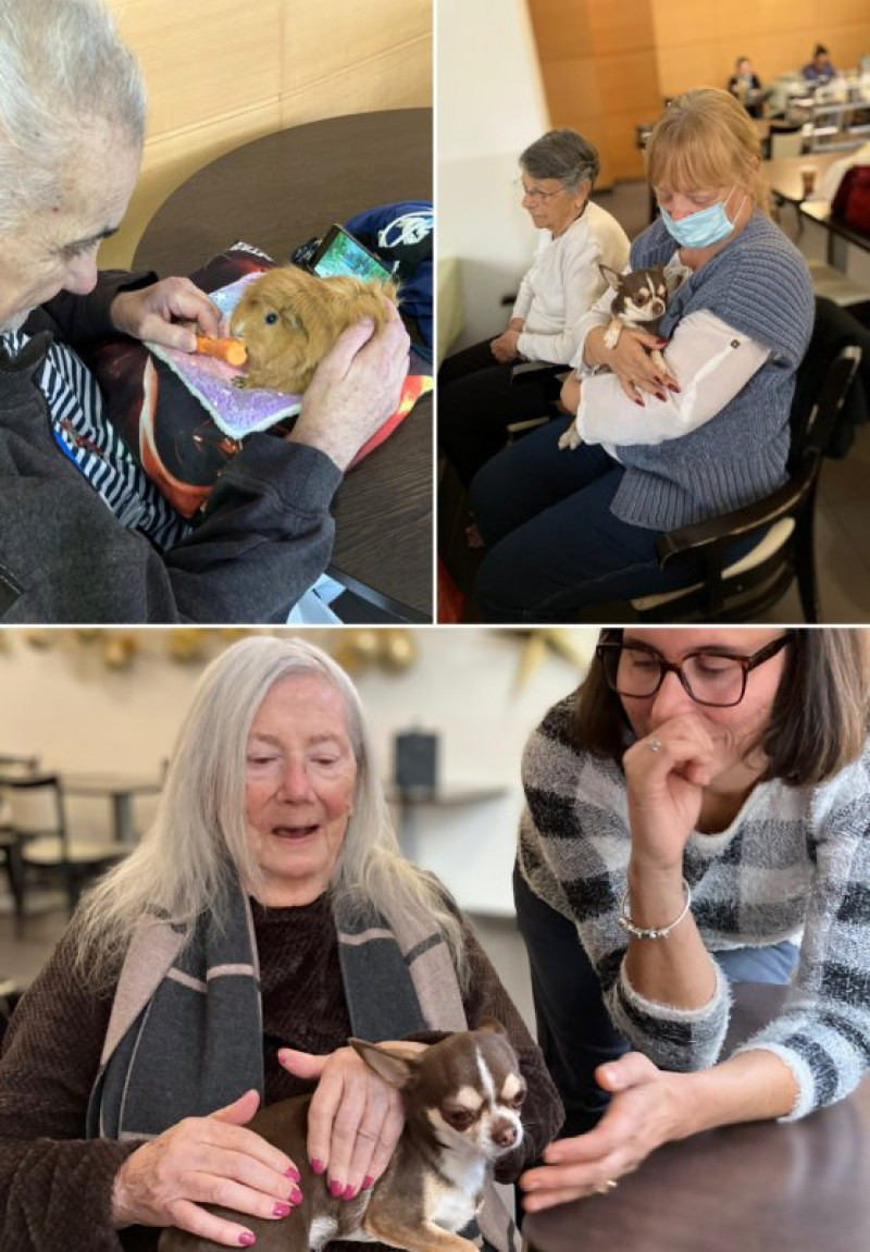 RATATOUILLE et ses amis