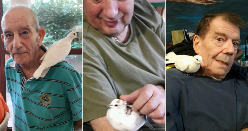 actualité EHPAD SEDNA