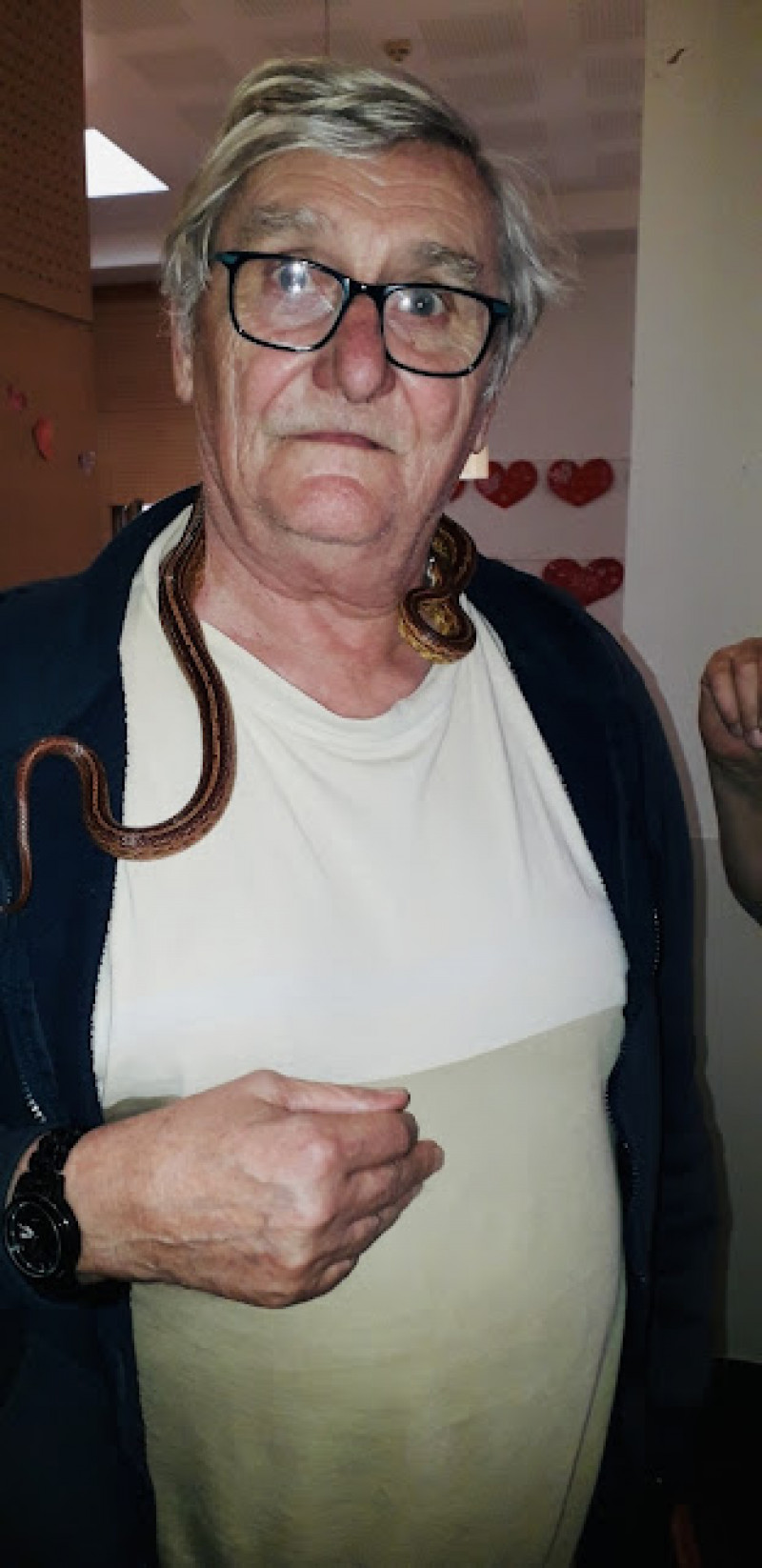 MEDIATION ANIMALE : ça serpente