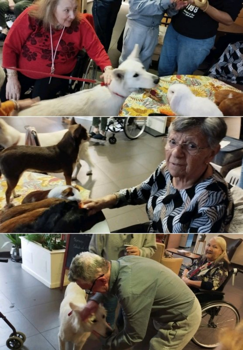 actualité EHPAD SEDNA