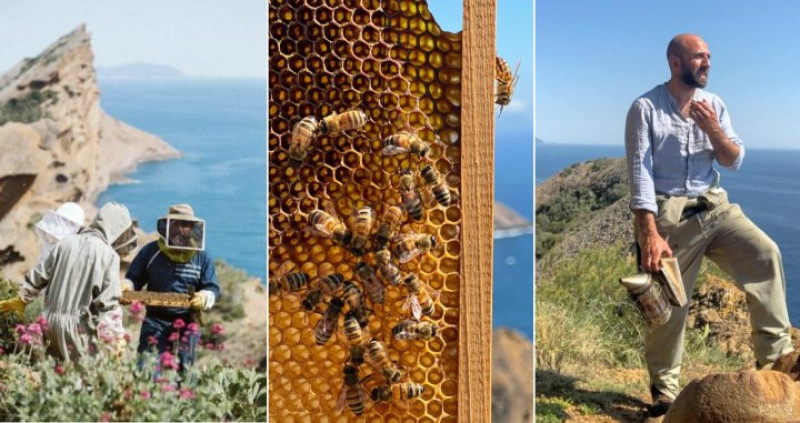 actualité EHPAD SEDNA