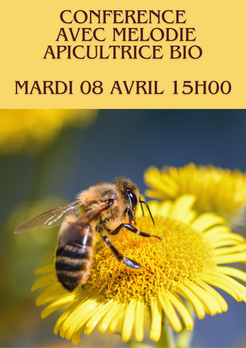 LE PLANNING HEBDOMADAIRE
