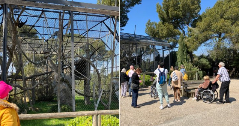 SORTIE AU ZOO DE LA BARBEN