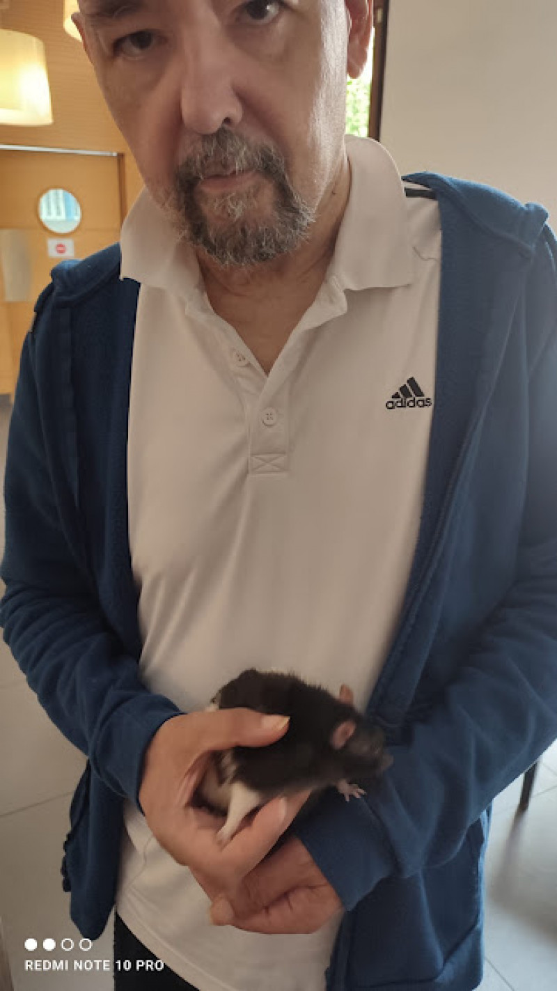 actualité EHPAD SEDNA
