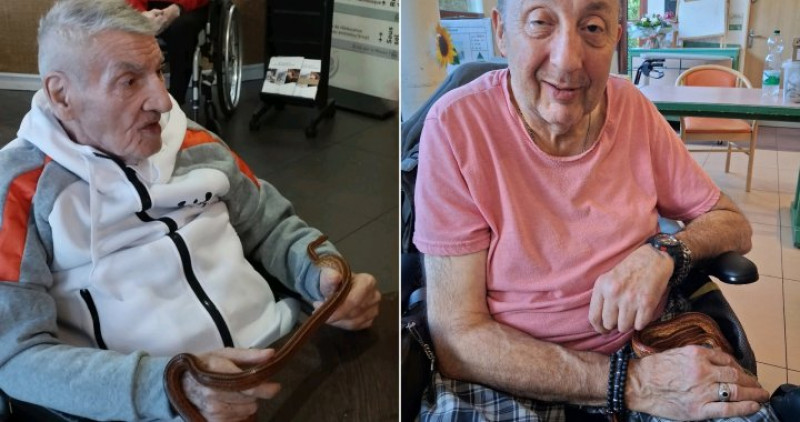 LE MEDIATION ANIMALE HEBDOMADAIRE