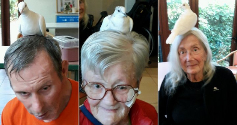 MEDIATION ANIMALE DU LUNDI