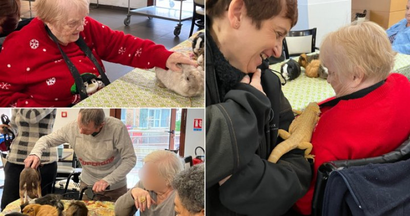 actualité EHPAD SEDNA