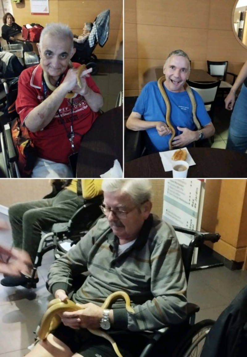 MEDIATION ANIMALE DU LUNDI