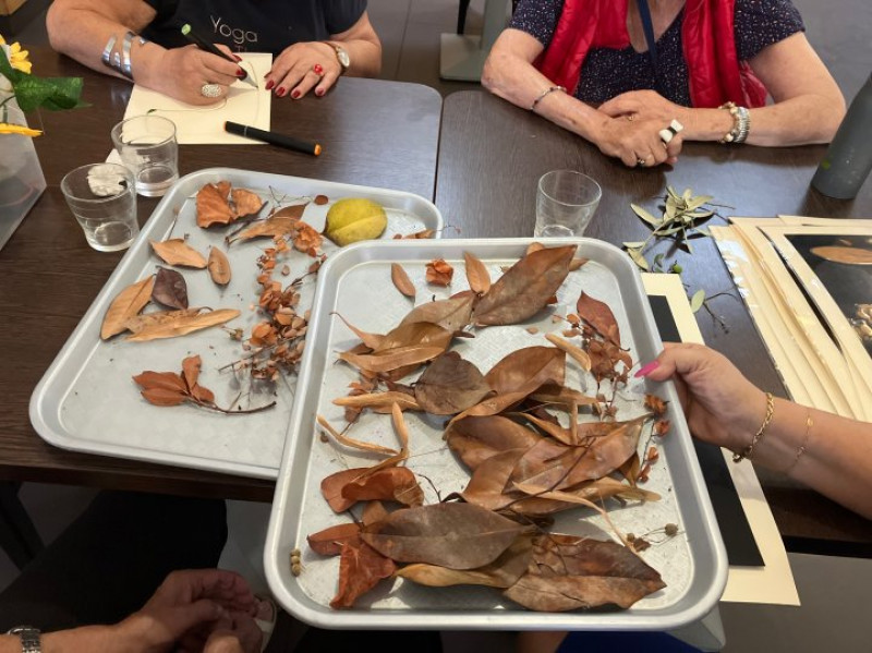 actualité EHPAD SEDNA