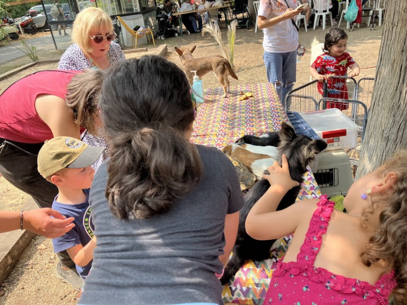JOURNEE DE LA SOLIDARITE LA MINI FERME