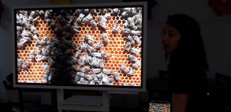 LE MIEL ET LES ABEILLES