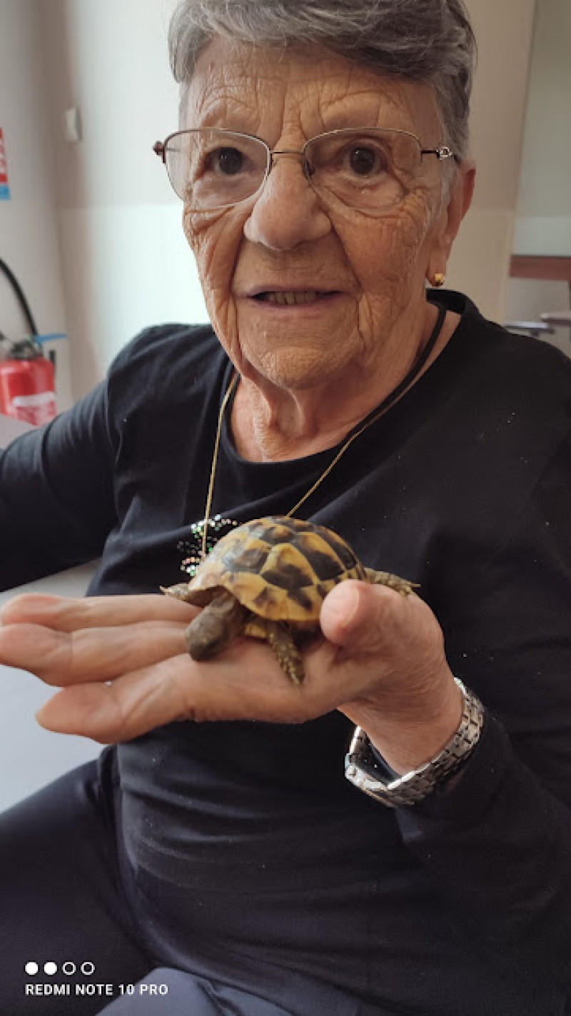 actualité EHPAD SEDNA