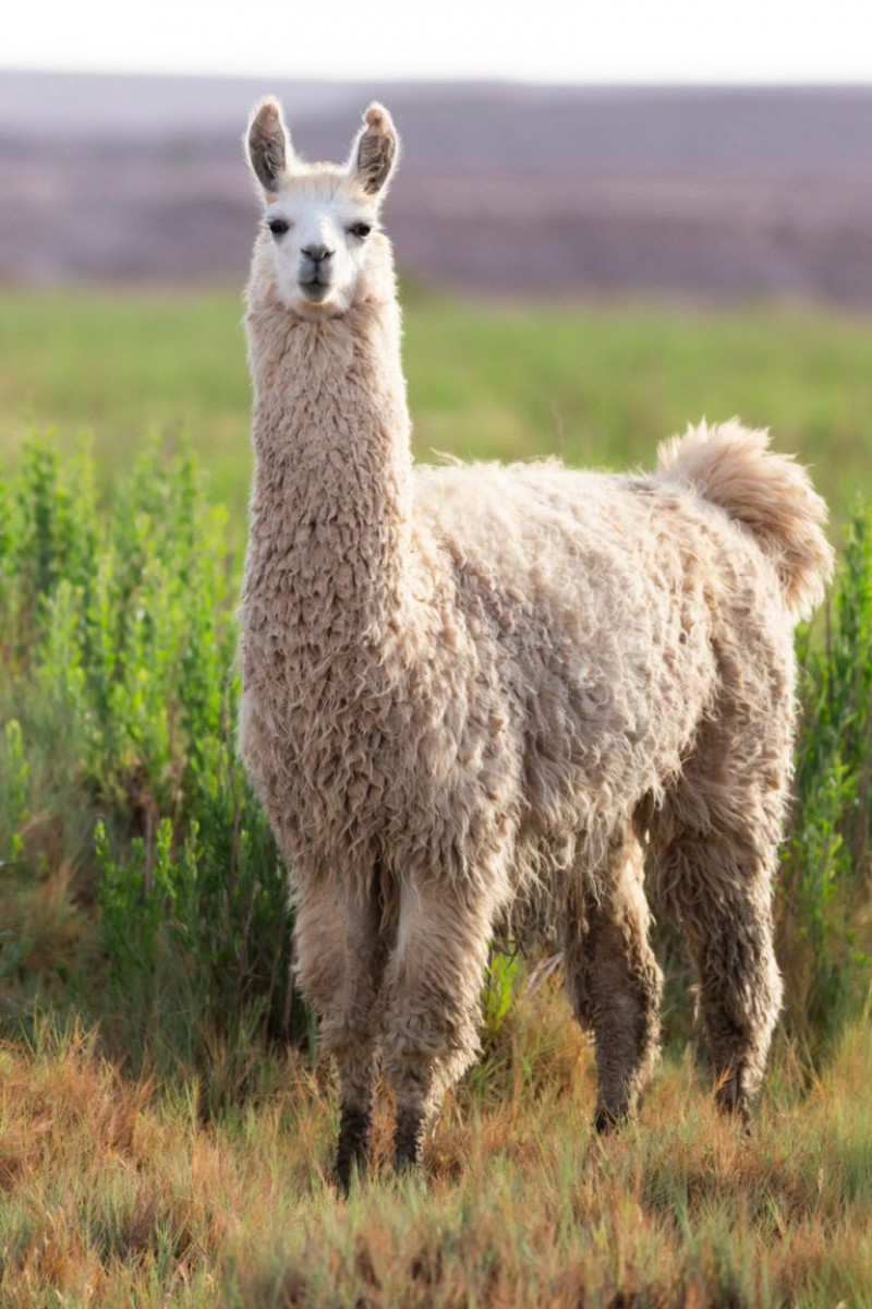 actualité EHPAD SEDNA